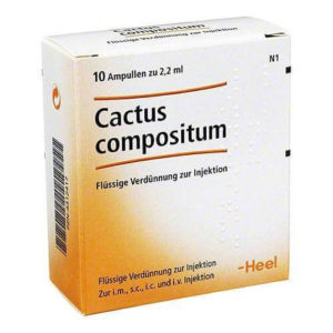 Cactus compositum S / კაკტუს კომპოზიტუმ ს